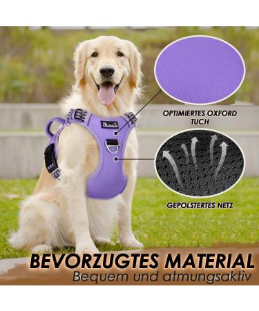 Eyin Adjustable Reflective Dog Harness for Small Dogs - Breathable Padded Vest with Handle & Front Bracket for Training (Purple Size S) - Buy Online on GoSupps.com