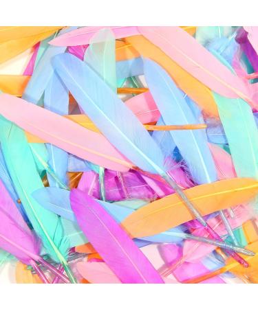 FeelfunFeather 240pcs Macaron Goose Cochettes Feathers 4-6 inch Bulk Natural - Wedding Party Halloween DIY Crafts - Buy Online on GoSupps.com