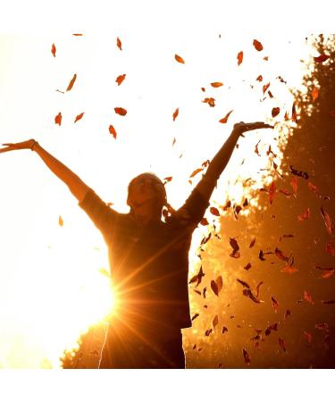 Hey Nutrition Magnesium Complex High Strength 205mg Supplement - Zinc Vitamin D3 - Muscle & Bone Health Nerve Function & Energy Support - UK Manufactured - Non-GMO - 60 Vegetarian Capsules 60 count (Pack of 1) - Buy Online on GoSupps.com