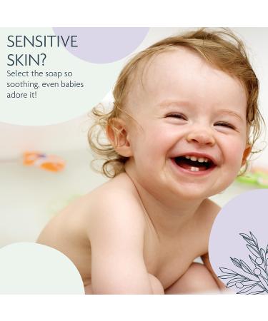 Carolina Castile Vegan Lavender Bar Soap - 6-Pack of Gentle, Hydrating Natural Soap with Organic Cocoa Butter and Olive Oil - 5 Oz. Each - Buy Online on GoSupps.com