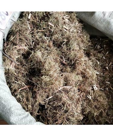 Natural Artemisia Annua Artemisia Odora Artemisia Annuae Qinghao Artemisia Annua Artemisia Annua Tea Artemisia Annua Bulk Artemisia Annua Herb Sweet Wormwood (500grams) - Buy Online on GoSupps.com