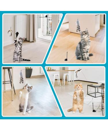 Sunshine Smile Cat Toys Set | Interactive Cat Toys Pack for Cats & Dogs | Engaging Springs & Treats - Buy Online on GoSupps.com