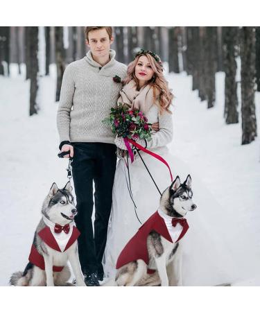 Buy Kuoser Dog Smoking Suit & Bandana Set - Stylish Pet Formal Clothing for Weddings Halloween & Birthdays - S-XXL (Back Length: 29 cm) - Dark Red - Buy Online on GoSupps.com