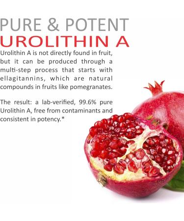 Urolithin A Supplement 1000mg - Mitochondrial Supplements Support - Advanced Healthy Anti-Aging and Cellular Renewal - Muscle Strength - Endurance and Longevity - Ultra Micronized - 120 Capsules - Buy Online on GoSupps.com