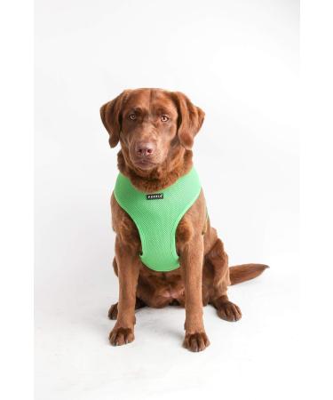 Puppia Dog Harness for Small & Medium Dogs - Super Soft Multi-Color Also Functions as Puppy Dish - Atani Train Harness in Green XXL - Buy Online on GoSupps.com