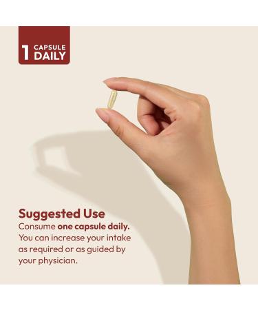 ANDREW LESSMAN Vitamin B12 500 60 Capsules - Absorption-Protected Methylcobalamin (Natural Coenzyme Vitamin B12) Essential for Energy and Stress Support Plus B-Complex Easy to Swallow Capsules 60 Count (Pack of 1) - Buy Online on GoSupps.com