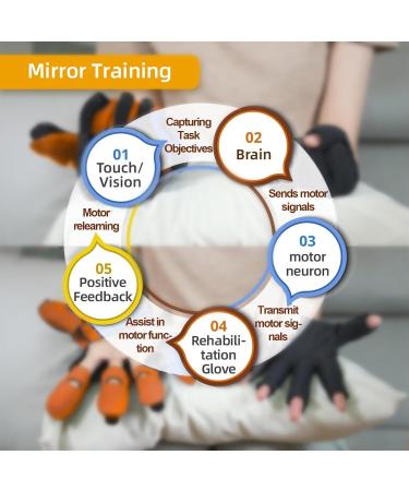 Rehabilitation Robot Training Gloves Rehabilitation Restore Equipment for Patient with Hand Paralysis Finger Recovery Exercise Equipment Orthotics Orange A S Orange A S - Buy Online on GoSupps.com