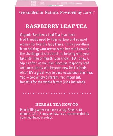 Earth Mama Organic Raspberry Leaf Tea Bags | Labor Tonic & Menstrual Support | 48 Tea Bags (16 Count, Pack of 3) - Buy Online on GoSupps.com