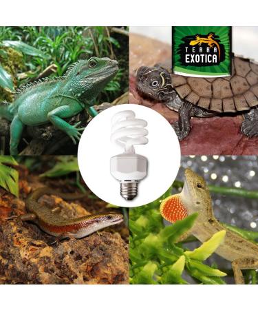 Terra Exotica Compact Jungle 5.0 UVB Lamp for Reptiles - Energy-Saving Terrarium Lighting in 2.0 5.0 8.0 10.0 UVB - Buy Online on GoSupps.com