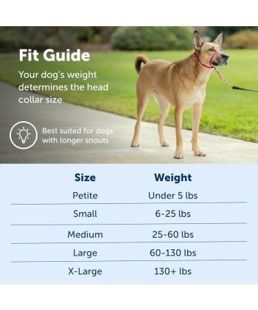 PetSafe Gentle Guide Collar | Deep Purple Medium (25-60 Lbs) | Training DVD Included - International Shipping Available - Buy Online on GoSupps.com