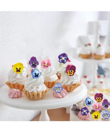 60 Edible Flower Pansies for Cake Decoration | Catelves | Perfect for Weddings & Celebrations - Buy Online on GoSupps.com