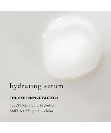 Bioelements Moisture x10 - Hydrating Hyaluronic Acid Serum for Dry & Combination Skin - Vegan & Cruelty-Free - 1 fl oz - Buy Online on GoSupps.com