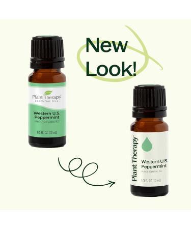 Plant Therapy Peppermint Western U.S. Essential Oil 30 mL (1 oz) 100% Pure Undiluted Therapeutic Grade - Buy Online on GoSupps.com