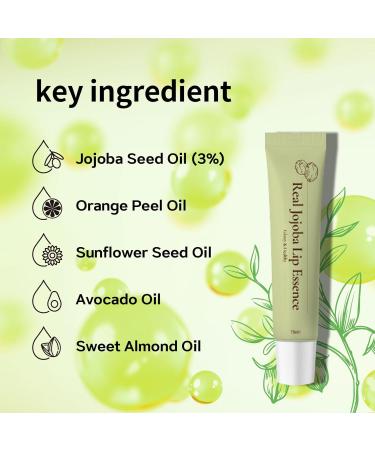 Real Jojoba Lip Essence Serum - Hydrating & Anti-Aging Moisturizer | Natural Ingredients Non-Sticky Travel Size (0.5 Fl oz - Buy Online on GoSupps.com