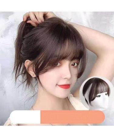 Agatige Clip in Bangs for Women Human Hair 3D Hair Front Bangs Extensions French Bangs Synthetic Straight Hairpiece Curved Thin Hair Bangs for Daily Wear - Buy Online on GoSupps.com