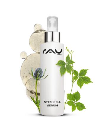 Chocolate Chips Pieces Ganache Decorations