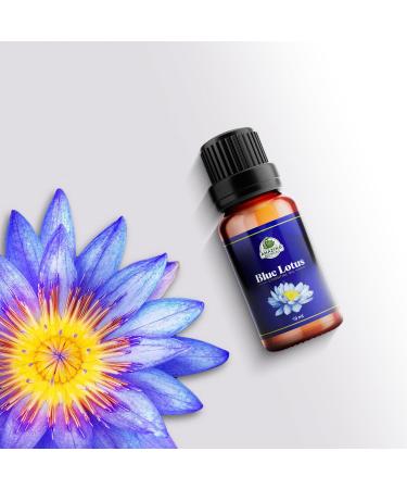 Blue Lotus Essential Oil | Premium Therapeutic Grade | for Aromatherapy Diffuser Skin Soaps Lotions & Candles | Vegan & Cruelty Free Undiluted Essential Oil (0.34 Fl Oz (Pack of 1) Blue Lotus) - Buy Online on GoSupps.com