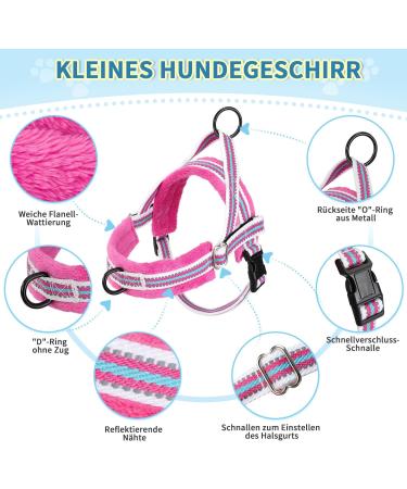 Eyein No-Pull Dog Harness & Leash - Reflective Adjustable Soft Padded Dishes for Puppies Small & Large Dogs Cats - Rose Red XS - Buy Online on GoSupps.com