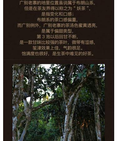 Pu-erh tea 2020 SHENG JIA YUAN Guangbie Old Village 357g Raw - Buy Online on GoSupps.com
