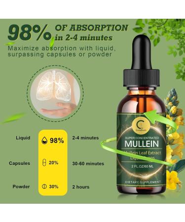 Mullein Drops for Lungs - Lung Cleanse & Detox - Vegan Mullein Leaf Extract Liquid Tincture Support for Respiratory Immune Digestive System Natural Herbal Supplement Non-GMO 2 FL OZ Natural 2 Fl Oz (Pack of 1) - Buy Online on GoSupps.com