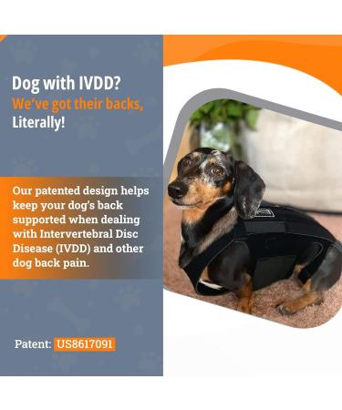 PURPLELILY Injury Support Dog Vest Aid Recovery And Improve Comfort Breathable Vest Bracer Provide Stability And Support Small - Buy Online on GoSupps.com