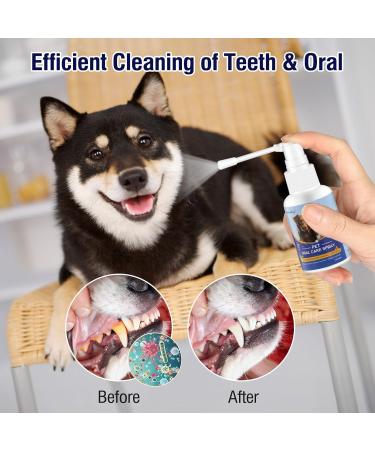 Pet Oral Care Spray Pet Clean Teeth Cleaning Spray for Dogs & Cats Pet Breath Freshener Spray Care Cleaner Teeth Cleaning Spray for Dogs & Cats - Buy Online on GoSupps.com