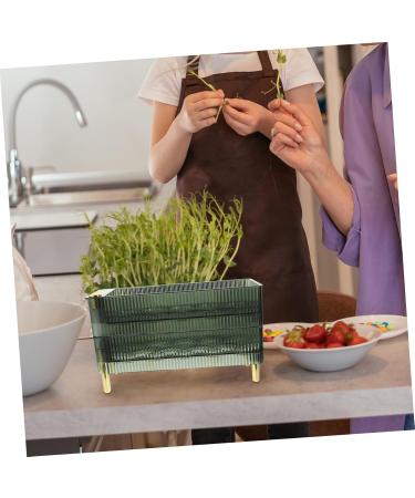 LABRIMP Box Camping Fridge Plastic Tray Egg Drawer for Refrigerator Egg Organizer Multi-layer Egg re-usable Green 26.5X16X10CM - Buy Online on GoSupps.com