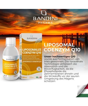Bandini Coenzyme Q10 - 200mg High Dose Vegan Supplement (10ml) | Fermented Corn | Pure & Lab-Tested | 4-Month Supply - Buy Online on GoSupps.com