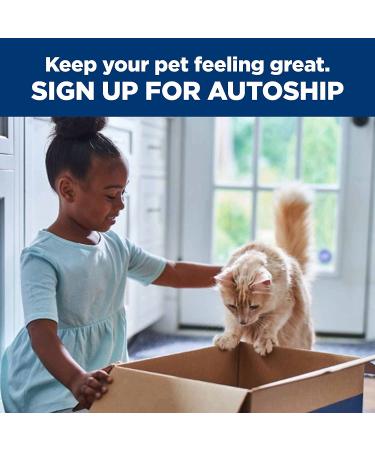 Hill's Prescription Diet d/d Skin/Food Sensitivities Venison Dry Cat Food 8.5lb - Pack of 1 - Buy Online on GoSupps.com