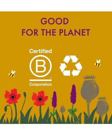 Kallo Mixed Seeds Veggie Thins Crackers | Healthy Snacks High Fibre Gluten Free Plant Protein & Baked |100g Single Pack - Buy Online on GoSupps.com