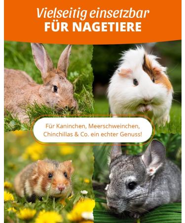 Petifool Herb Garden 400g | 100% Natural Supplementary Food for Rodents - Rabbits Guinea Pigs Hamsters & More - No Artificial Additives - Buy Online on GoSupps.com