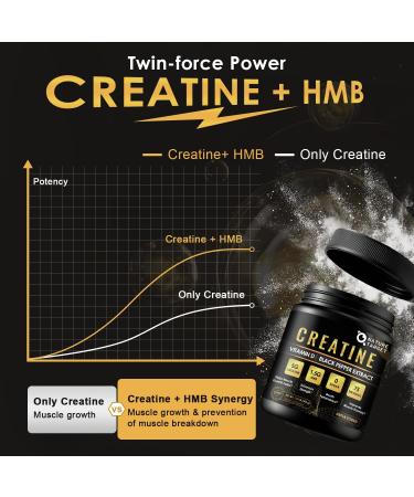 Micronized Creatine Monohydrate for Women and Men Creatine Powder for Men-Women for Improve Performance and Strength Support Muscle Growth and Workout Recovery 6.5g per Servings 75 Servings 1.1 Pound (Pack of 1) - Buy Online on GoSupps.com