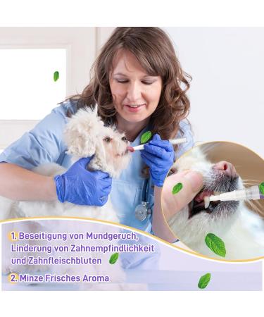 Wechoid Cvreoz Gel for Oral Repair - Toothed Gel for Pets | Combat Bad Breath & Tartar (6PCS) - International Shipping Available - Buy Online on GoSupps.com