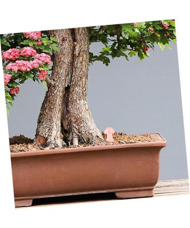 SUPVOX 2pcs Crystal Mushroom Mini Crystals Gemstone Mushrooms Stone Adornments for Micro Landscape Cake - Buy Online on GoSupps.com