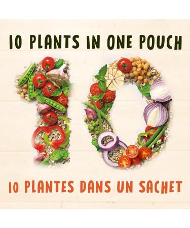 BEN'S ORIGINAL 10 Medley Tomato & Herb Whole Grain Barley and Brown Rice Side Dish 240g Pouch Tomato & Herb 240g - Buy Online on GoSupps.com