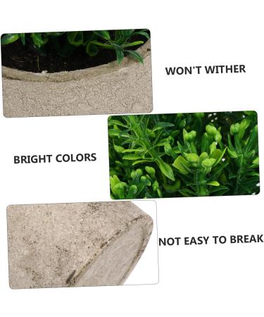 Ciieeo 4 Pcs Simulated Potted Plant Plastic Plant Pots Fake Eucalyptus Plant Tiny Fake Plants Fake Green Plant Simulation Plant Fake Plant Decor Pulp Potted Plants Rosemary Green Plants As Shownx4pcs 21.5x8cmx4pcs - Buy Online on GoSupps.com