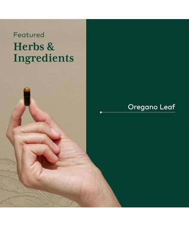 GAIA HERBS PRO Oil of Oregano - Immune Support Supplement - Carvacrol & Thymol for Antioxidant Support - Gut Health & Wellness Formula* - 60 Vegan Capsules (60 Servings) - Buy Online on GoSupps.com