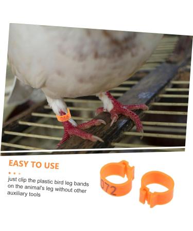 Happyyami 100 Pcs Pigeon Anklet Baby Clips Pigeon Deterrent Balcony Bird Tags Leg Traction Ring Quail Plastic 1.3X1.3CM Orange - Buy Online on GoSupps.com