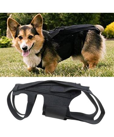 Luckxing Breathable Dog Back Brace - Helps Dogs with Spinal Problems Rehabilitation | Back Support Rehabilitation Easy to Wear and Off Black - Buy Online on GoSupps.com