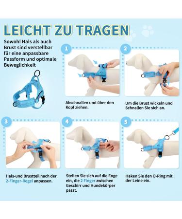 Eyein No-Pull Dog Harness with Leash | Soft Padded Adjustable & Reflective | Perfect for Puppies Small & Large Dogs Cats - Light Blue (Size S) - Buy Online on GoSupps.com