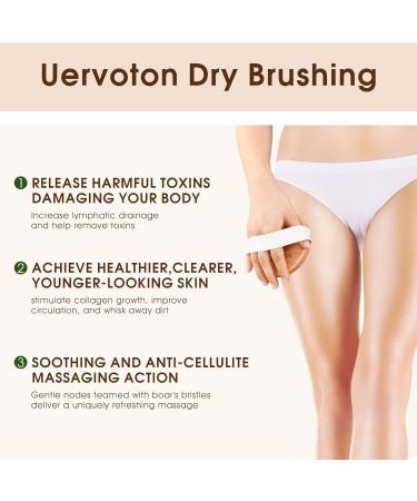 Uervoton Dry Body Brush - Natural Bristles for Exfoliation Cellulite Reduction & Lymphatic Health - International Shipping Available - Buy Online on GoSupps.com