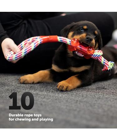 KEPLIN Rope Chew Toys for Dogs - Pack of 10 | Strong Rope Ball & Tug for Teething Stimulation & Training | 100% Natural Cotton | Accessories for Small Medium & Large Puppies & Adults (Style 1) - Buy Online on GoSupps.com