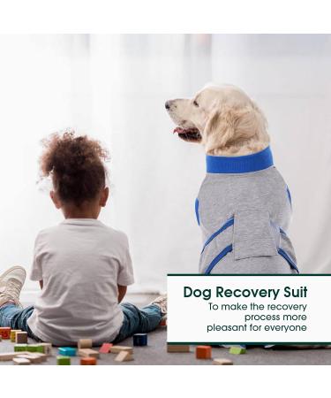 Kuoser Dog Recovery Bodysuit for Post-Op Care | Breathable Protective Dog Suit for Male & Female Dogs | Leakage Protection & Anti-Licking Design - Size S (1 Pack) - Gray - Buy Online on GoSupps.com