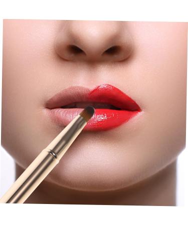 minkissy Double Ended Lipstick Brush Lip Brush for Lipstick Portable Lip Brush Cosmetics Brush Eyeshadow Makeup Brush Lip Mask Brush Eyeshadow Brush Major Powder Brush Miss Artificial Fiber 12x1x1cm Golden - Buy Online on GoSupps.com