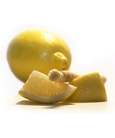 Premium Quality Miswak Toothbrush | Natural Siwak Wood | Lemon Flavor | Stops Gum Inflammation & Bleeding Gums - International Shipping - Buy Online on GoSupps.com