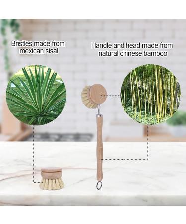 Bamboo Dish Brush with Handle - 4 Replacement Heads | Eco Brosse Vaisselle | Dish Scrub Brush | Dish Scrubber Brush | Vegetable Brush | Bamboo Wok Brush for Cleaning Kitchen Utensils - Buy Online on GoSupps.com