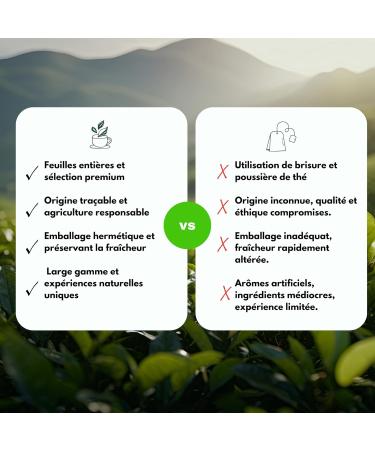 Th noir Bio M lange russe - 1 kg (400 tasses) - Th en vrac 100% Agriculture Biologique - Th s Direct 1 kg (Lot de 1) - Buy Online on GoSupps.com