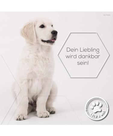 Buy Lolo & Max Natural Flea & Tick Spot On for Dogs | 100% Effective Defense - 8 Months Protection Against Parasites - Buy Online on GoSupps.com