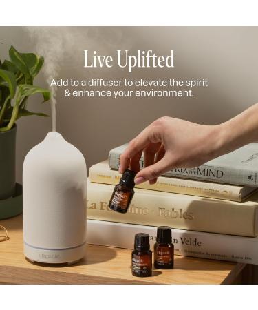 Cliganic Sleep Surrender Organic Essential Oil Blend 0.51 Fl Oz Carefully Crafted with Vetiver Lavender Frankincense Clary Sage Ylang Ylang Marjoram & Spearmint Calming Aromatherapy Oil - Buy Online on GoSupps.com