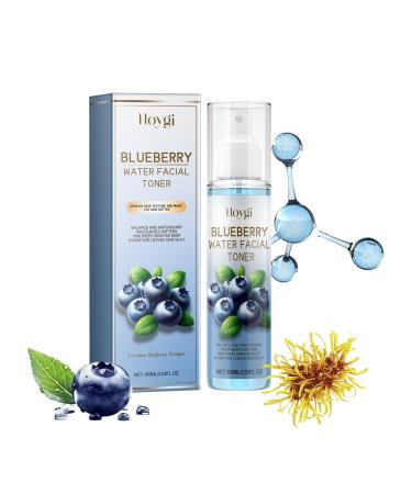 Hoygi Blueberry Water Facial Toner Hydrating Antioxidant Moisturizing Spray with Blueberry Extract Rapid Absorption 100ml/3.53 fl oz